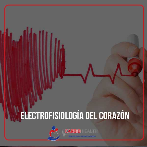 electrofisiología