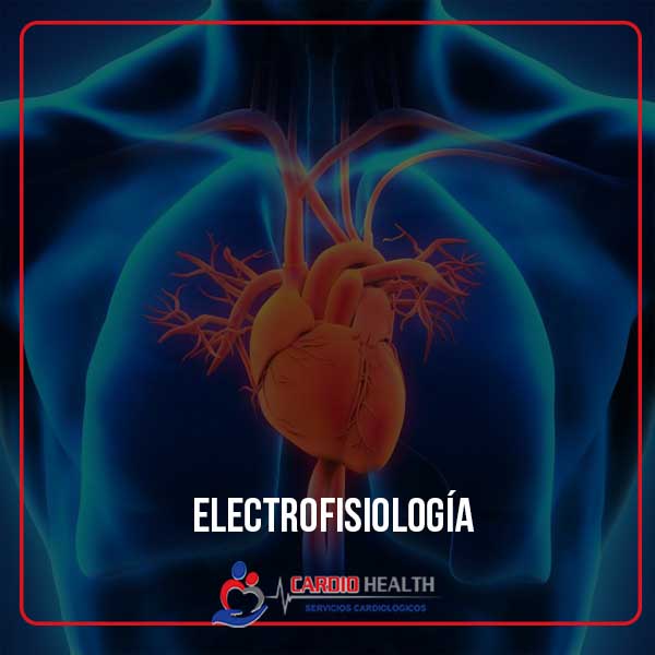 electrofisiologia